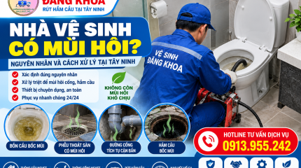 Nhà Vệ Sinh Có Mùi Hôi? Nguyên Nhân & Cách Xử Lý