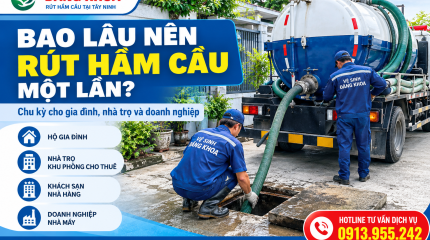 Bao Lâu Nên Rút Hầm Cầu Một Lần? 